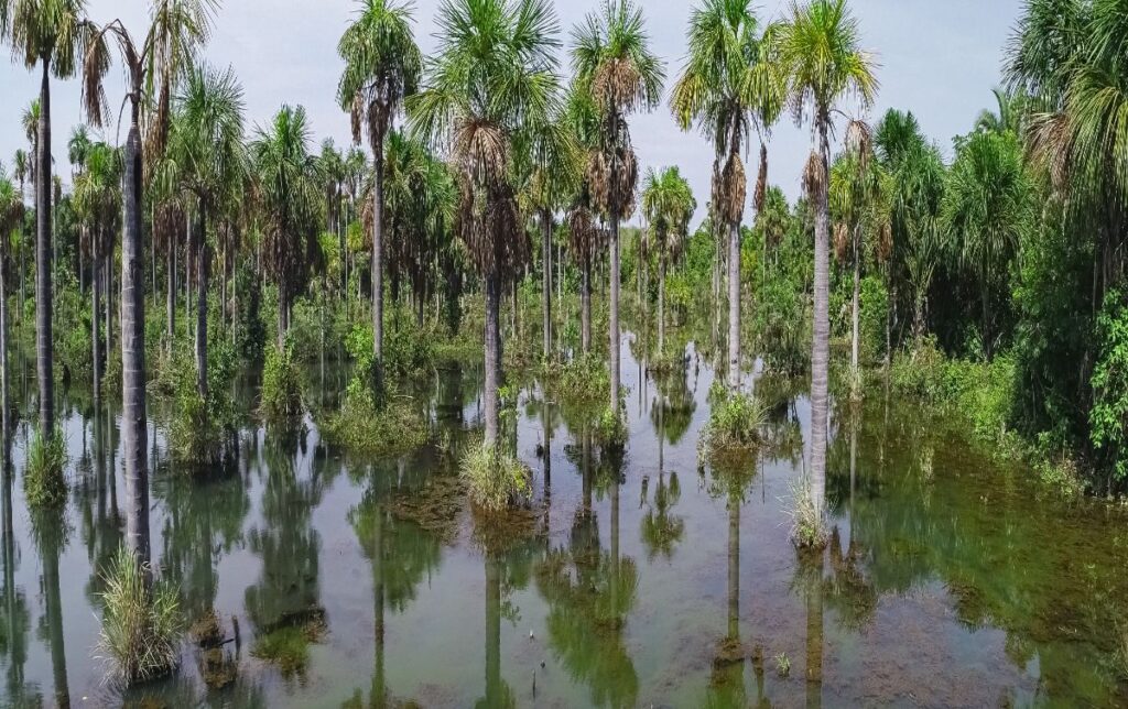 O que Fazer em Nobres na Lagoa das Araras