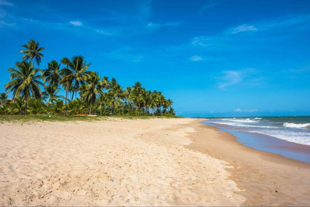 Foto da Praia de Guarajuba (Camaçari BA) com palmeiras e grama ao lado esquerdo da imagem, seguindo por uma extensa faixa de areia ao meio, e pequena parte do mar azul ao lado direito. Dia de céu azul com poucas nuvens.