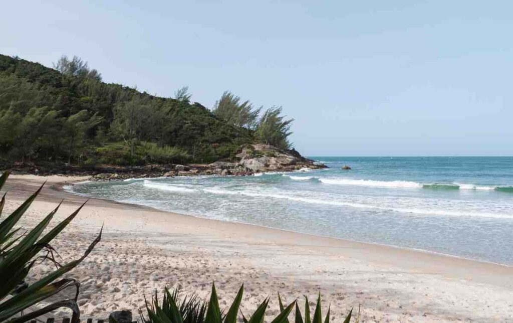 Praia de Ferrugem em Garopaba - Santa Catarina