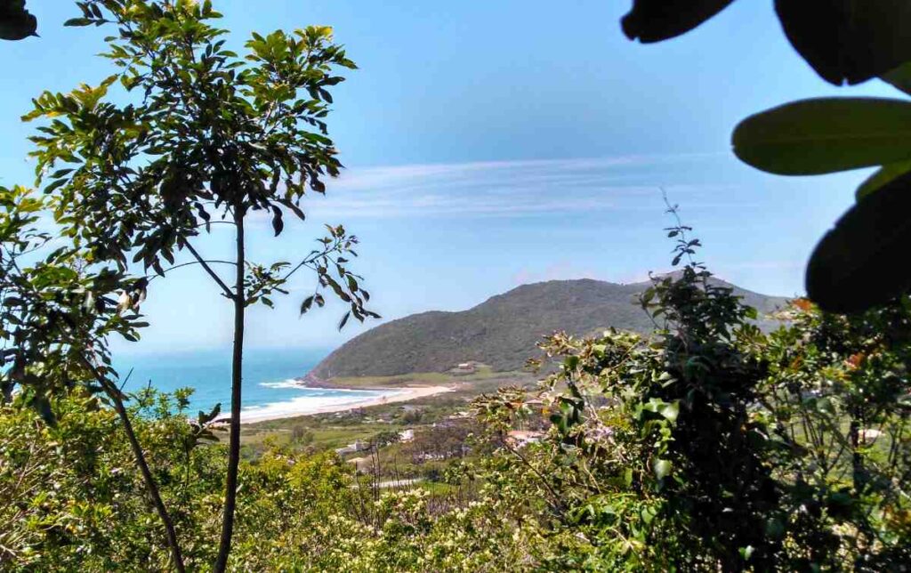 Praia do Silveira em Garopaba - SC