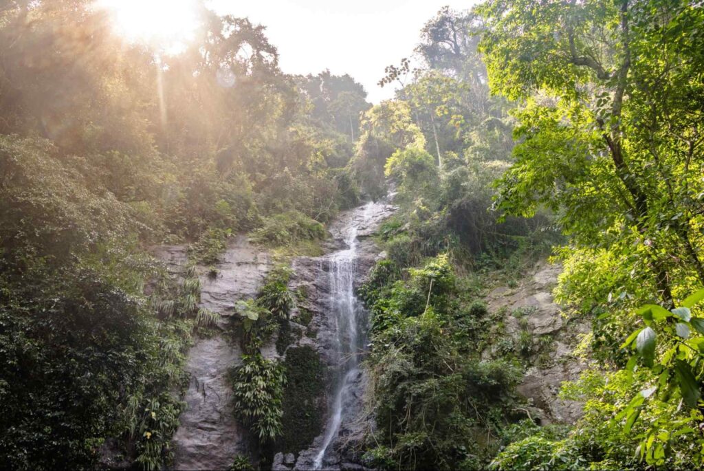 Incrível paisagem da Cachoeira Toque Toque Grande em São Paulo, com a luz do sol ofuscando parte da imagem, mostrando a queda da cachoeira cercada de árvores.