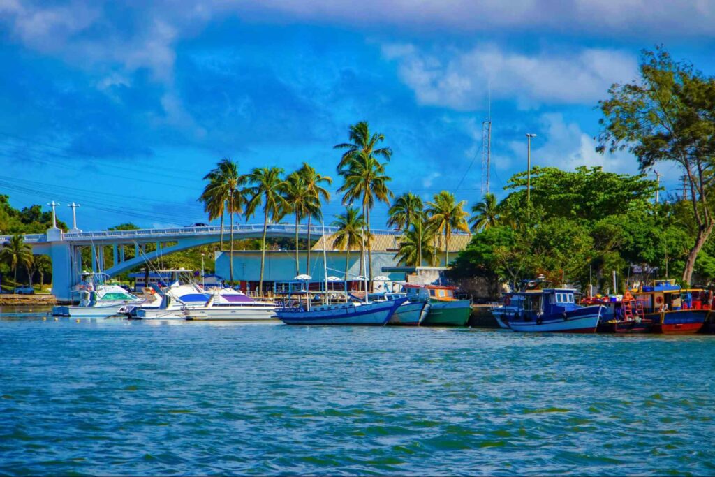 Diversos barcos, lanchas e iates no mar de Cabo Frio, Rio de Janeiro, em um dia de céu azul, combinando com o mar. Palmeiras altas e verdes, no mesmo tom de verde das outras árvores ao seu lado.