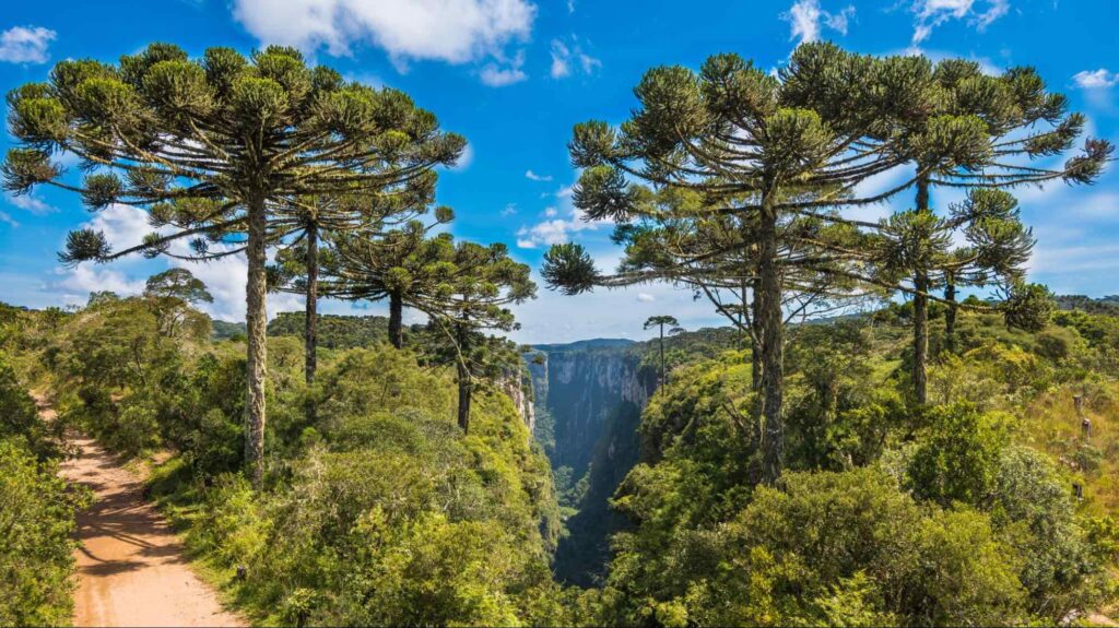 Guia de viagem para Serra Gaúcha