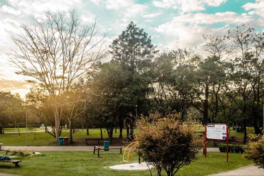Paisagem do Parque Villa-Lobos mostrando parte de uma das áreas de descanso do parque, com bancos em meio às árvores e alguns aparelhos de ginástica
