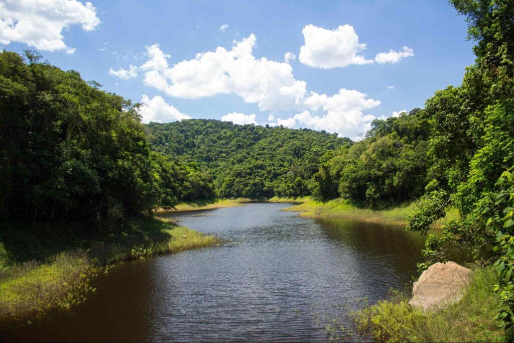 Paisagem do lago do Parque Estadual da Cantareira, rodeado de árvores e com céu azul e com poucas nuvens.