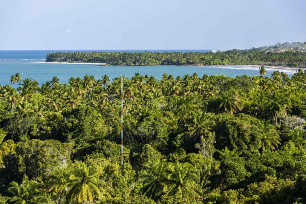 Ilha de Boipeba quase que completamente coberta por uma mata densa, composta por árvores tropicais. No recuo entre os trechos de mata, é possível ver a pequena faixa de areia branca de uma praia, banhada por um mar intensamente azul