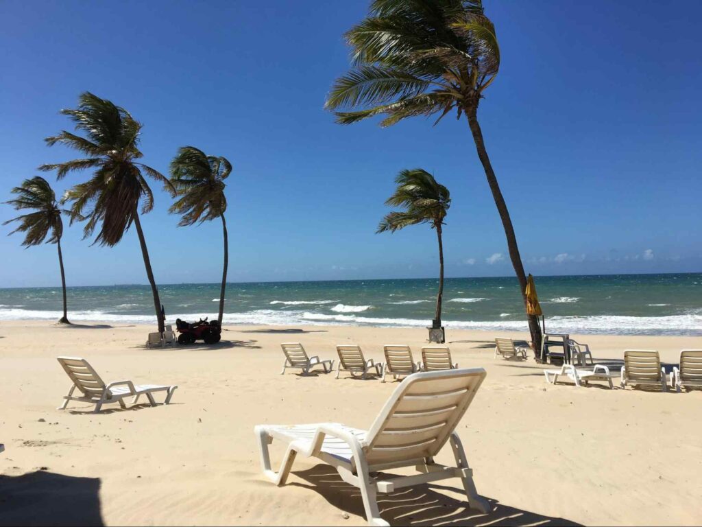 Espreguiçadeiras vazias na Praia de Cumbuco em frente ao mar. Dia ensolarado, de céu azul e limpo, vento batendo nas palmeiras da praia.