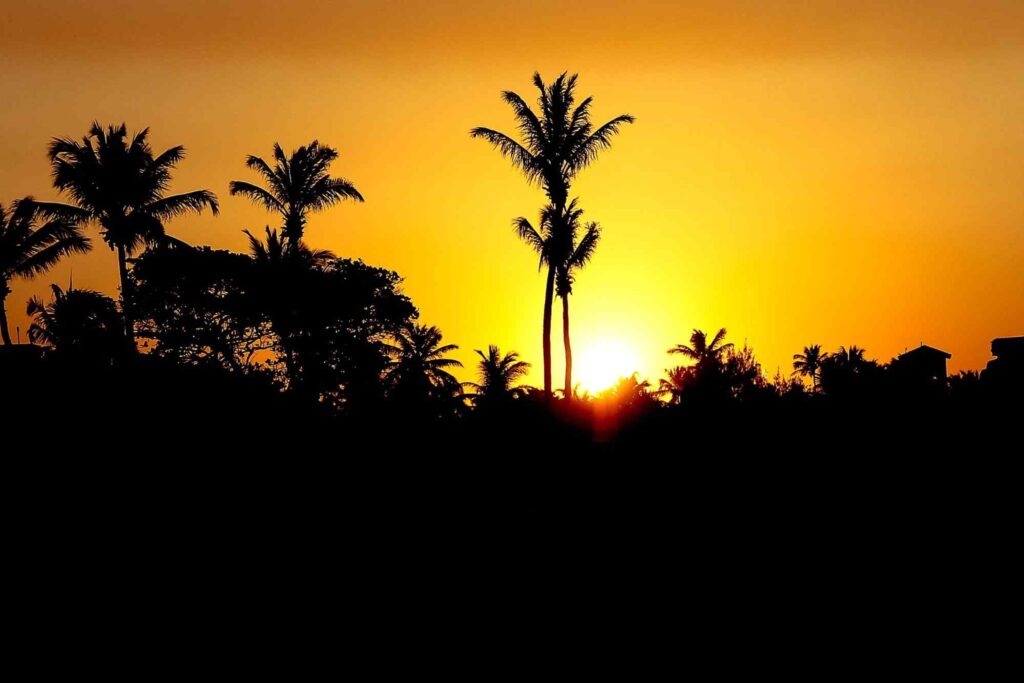 Paisagem do pôr do sol vista da Praia do Cumbuco. Céu em forte tom de amarelo alaranjado, em contraste às silhuetas das árvores.