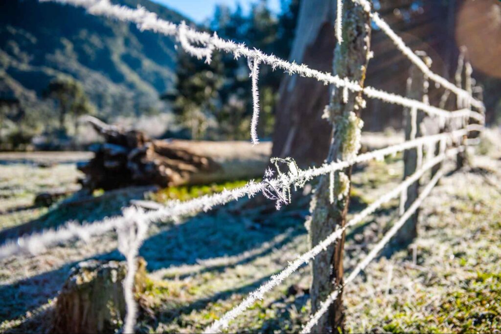 Cerca de arames ligados a tocos fincados no chão. Os arames estão cobertos por neve. Ao fundo, é possível ver uma parte do gramado parcialmente coberto de neve.