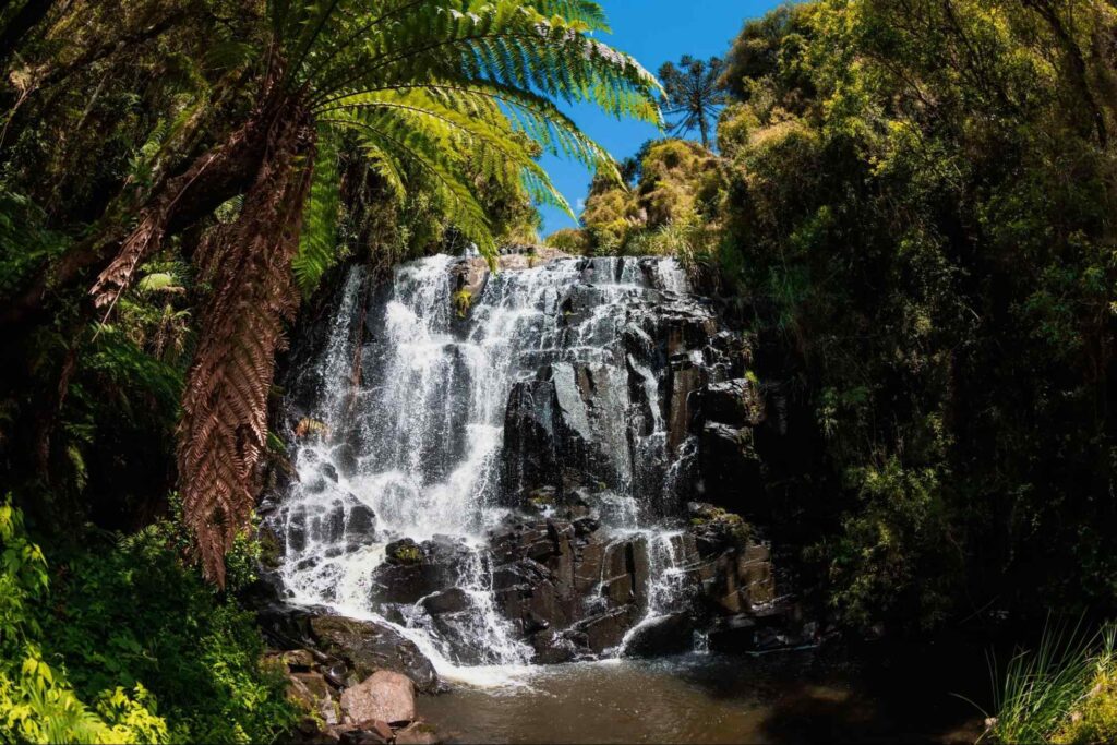 Queda d’água desliza por uma pedra que forma degraus sutis e termina em um poço. Nas laterais da cascata, há uma vegetação tropical que inclui palmeiras e outras espécies de verde.
