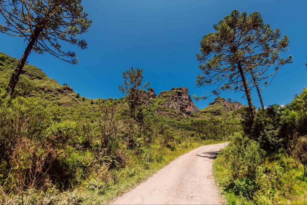 Trecho de estrada de terra estreita em Urubici. O caminho parece subir uma colina e está limitado à esquerda e à direita pela vegetação nativa, que inclui arbustos, araucárias e outras árvores.